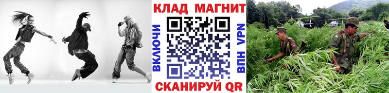 Какие есть наркотики Новая Ладога Марихуана  Мефедрон  Галлюциногенные грибы  ГАШ  Бутират  A-PVP 