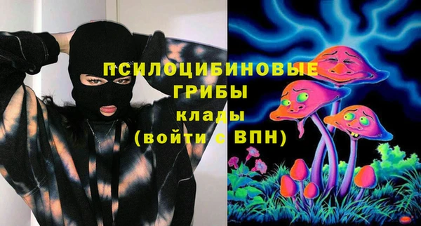 PSILOCYBIN Беломорск