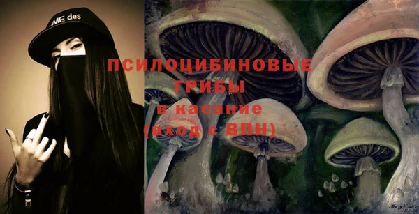дурь Белокуриха
