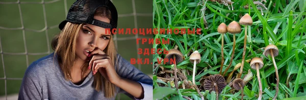 PSILOCYBIN Беломорск