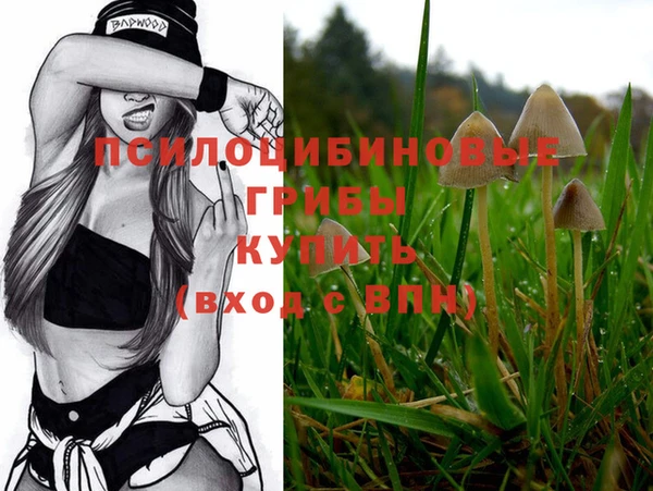 PSILOCYBIN Беломорск