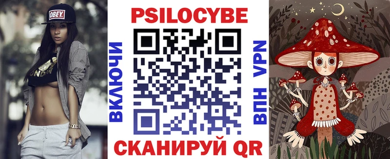 ссылка на мегу маркетплейс  Новая Ладога  Псилоцибиновые грибы Cubensis 